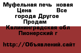 Муфельная печь (новая)  › Цена ­ 58 300 - Все города Другое » Продам   . Калининградская обл.,Пионерский г.